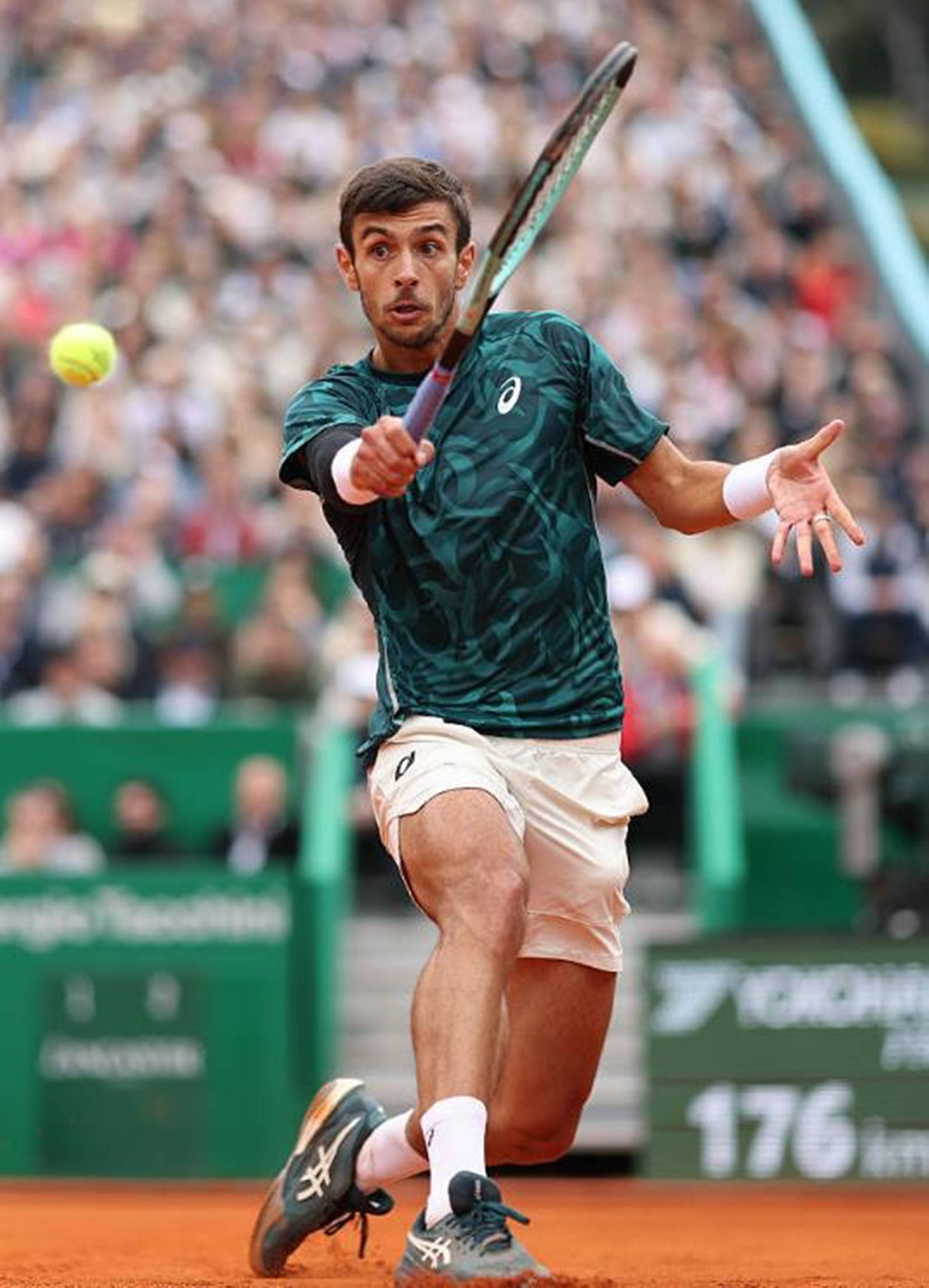 他让加拿大 他让加拿大