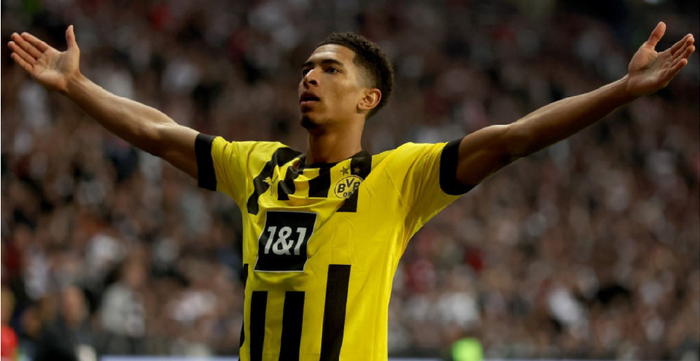 球员和板凳 球员和板凳